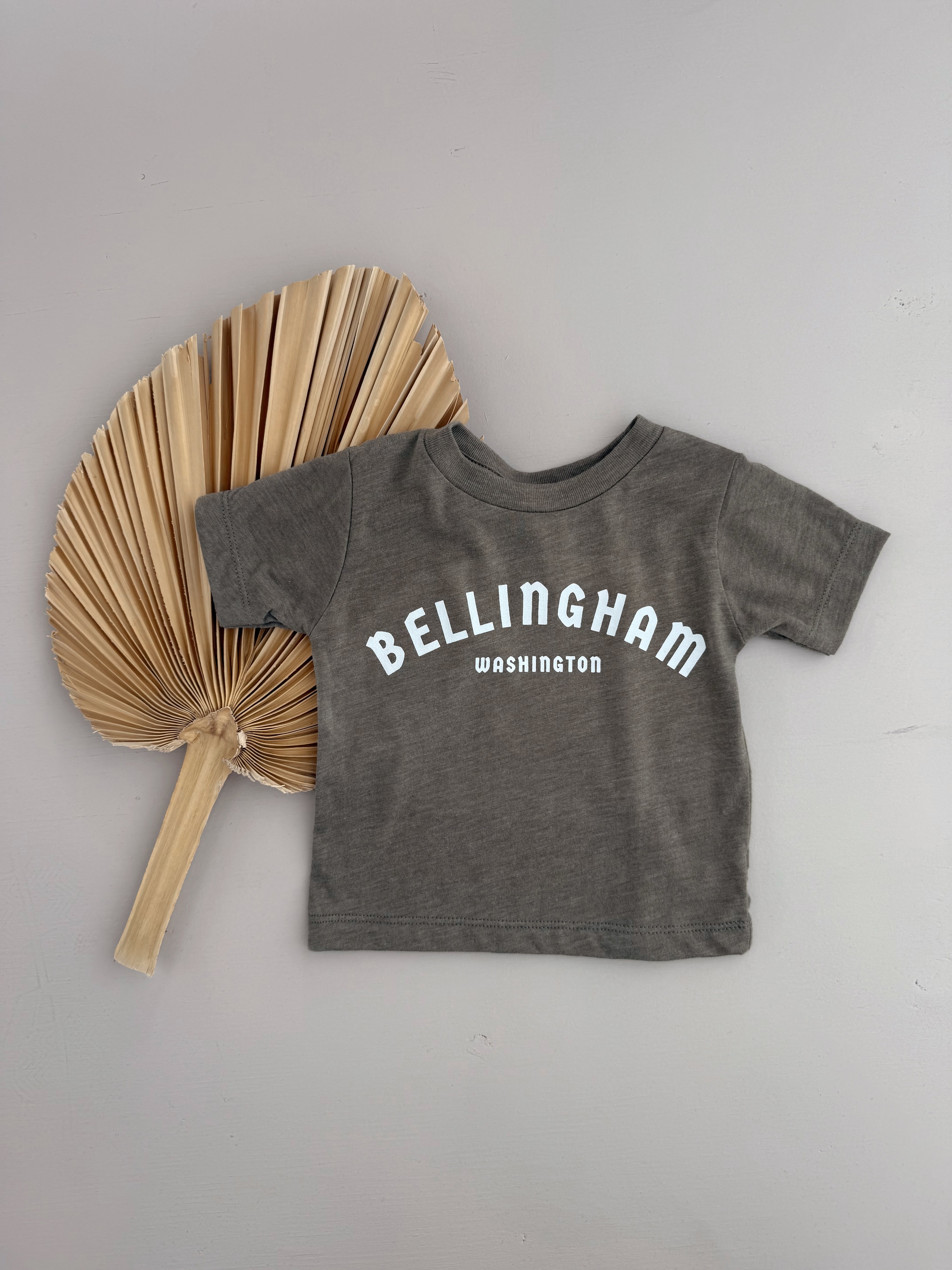 Bellingham WA kids tee in gray with white lettering on a neutral background next to a palm leaf.