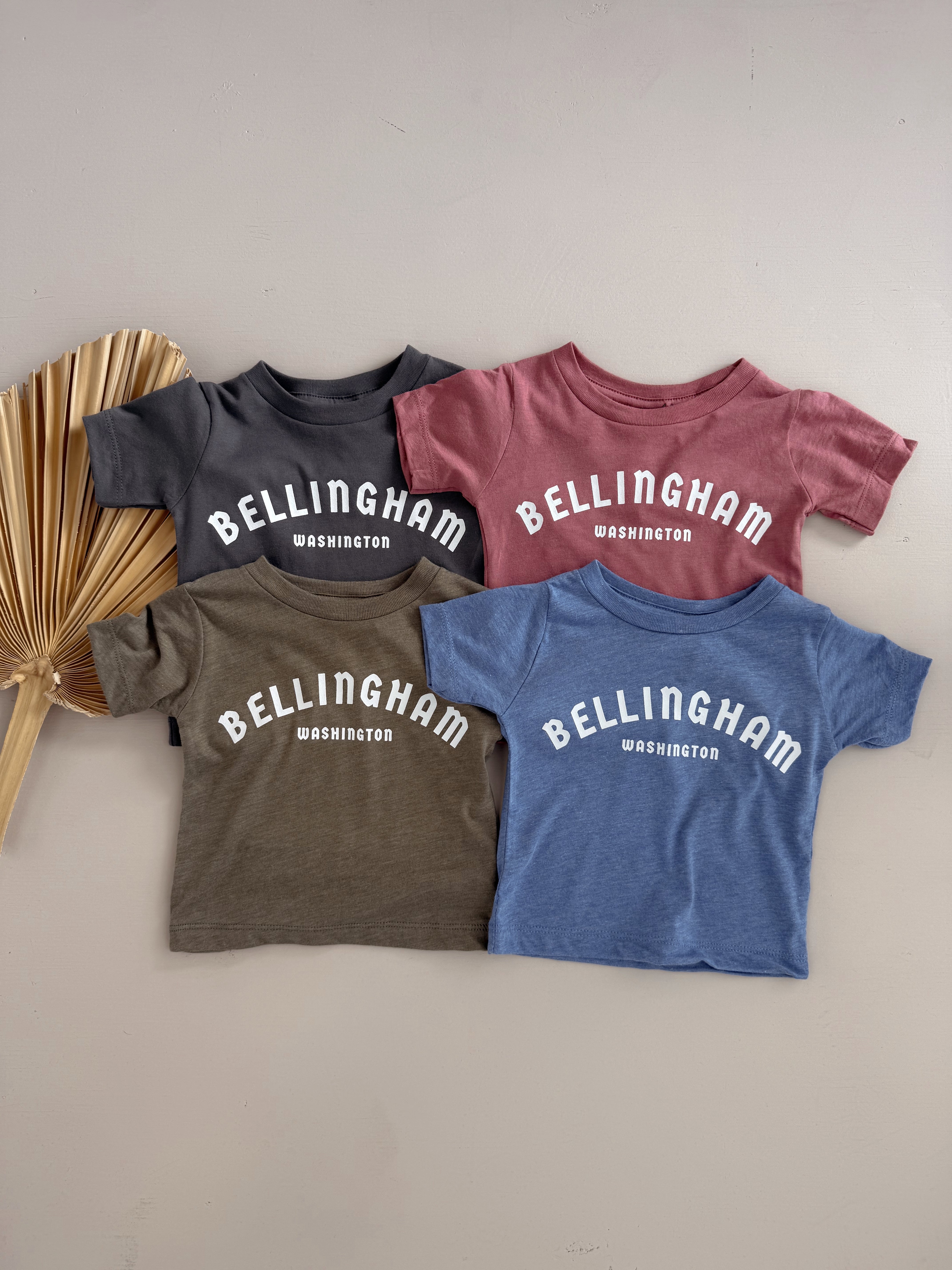 Bellingham WA kids tees in various colors displayed on a neutral background, showcasing local pride and comfort.