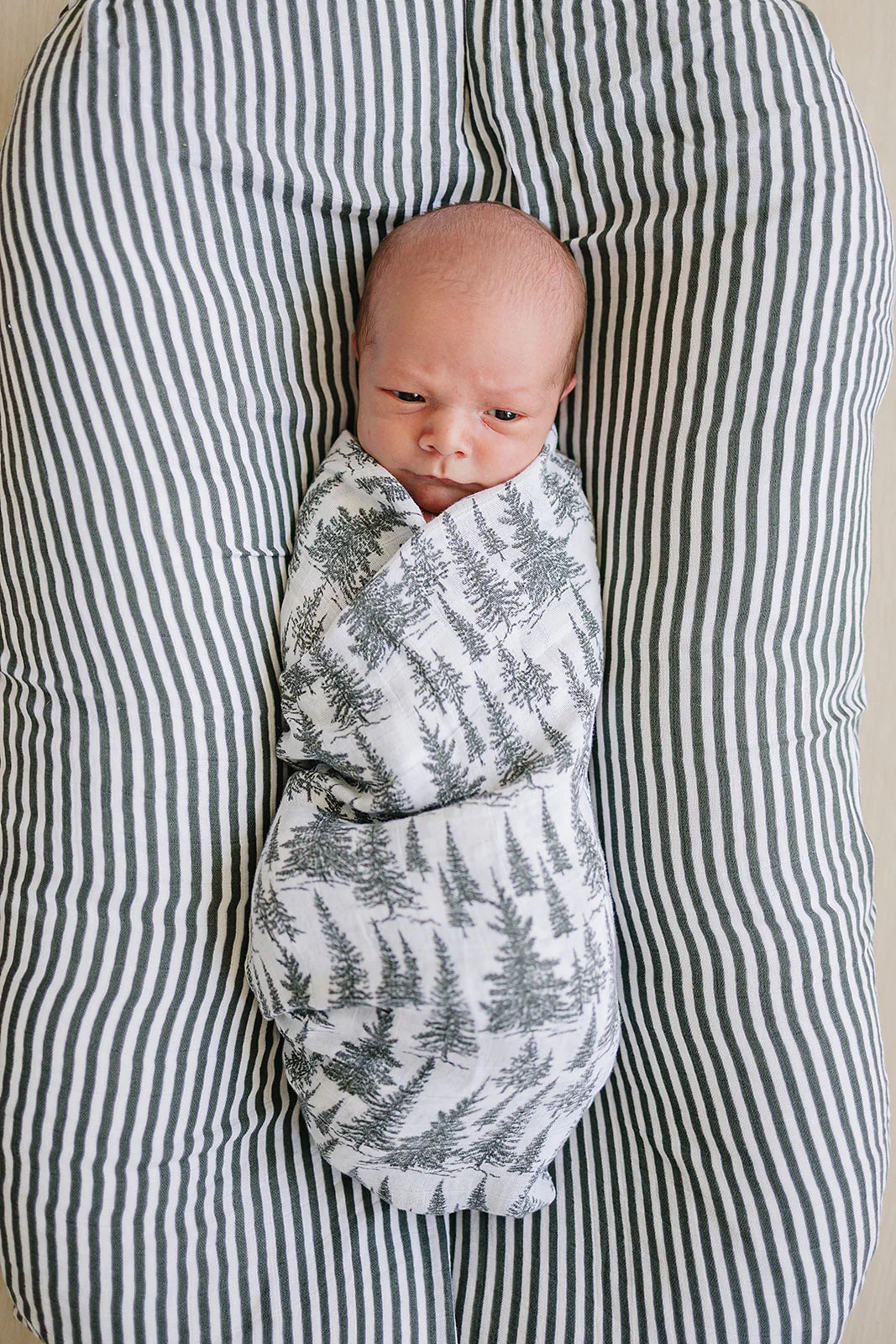 Newborn swaddled in forest muslin swaddle blanket, nestled comfortably in a cozy striped dock.